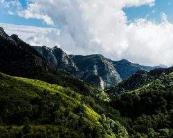pexels-iriser-3143143